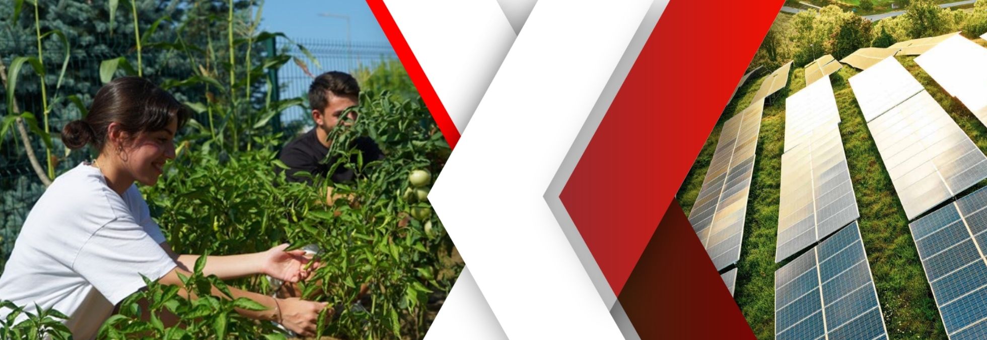 Dünya Çevre Günü…